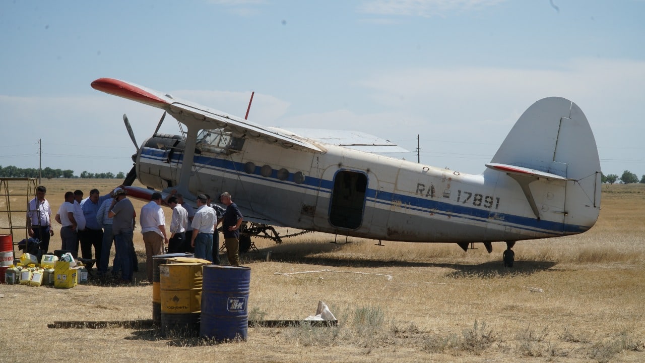 Против саранчи в Дагестане обработали почти 29 тысяч гектаров сельхозземель