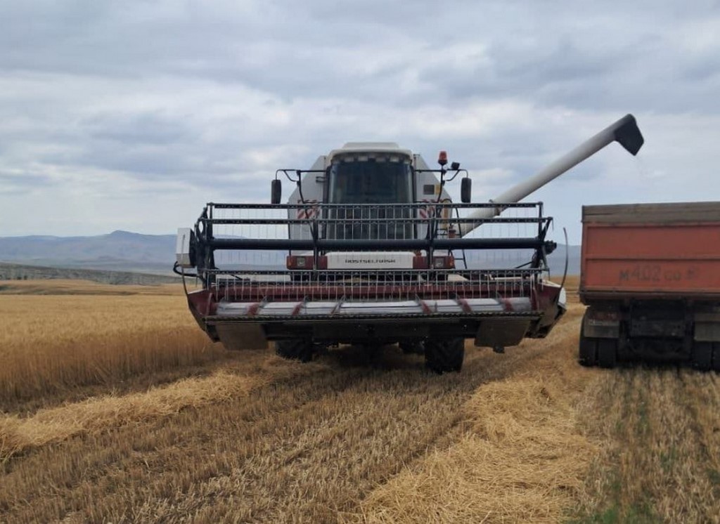 Хозяйства Карабудахкентского района активно занимаются уборкой озимых и зерновых культур