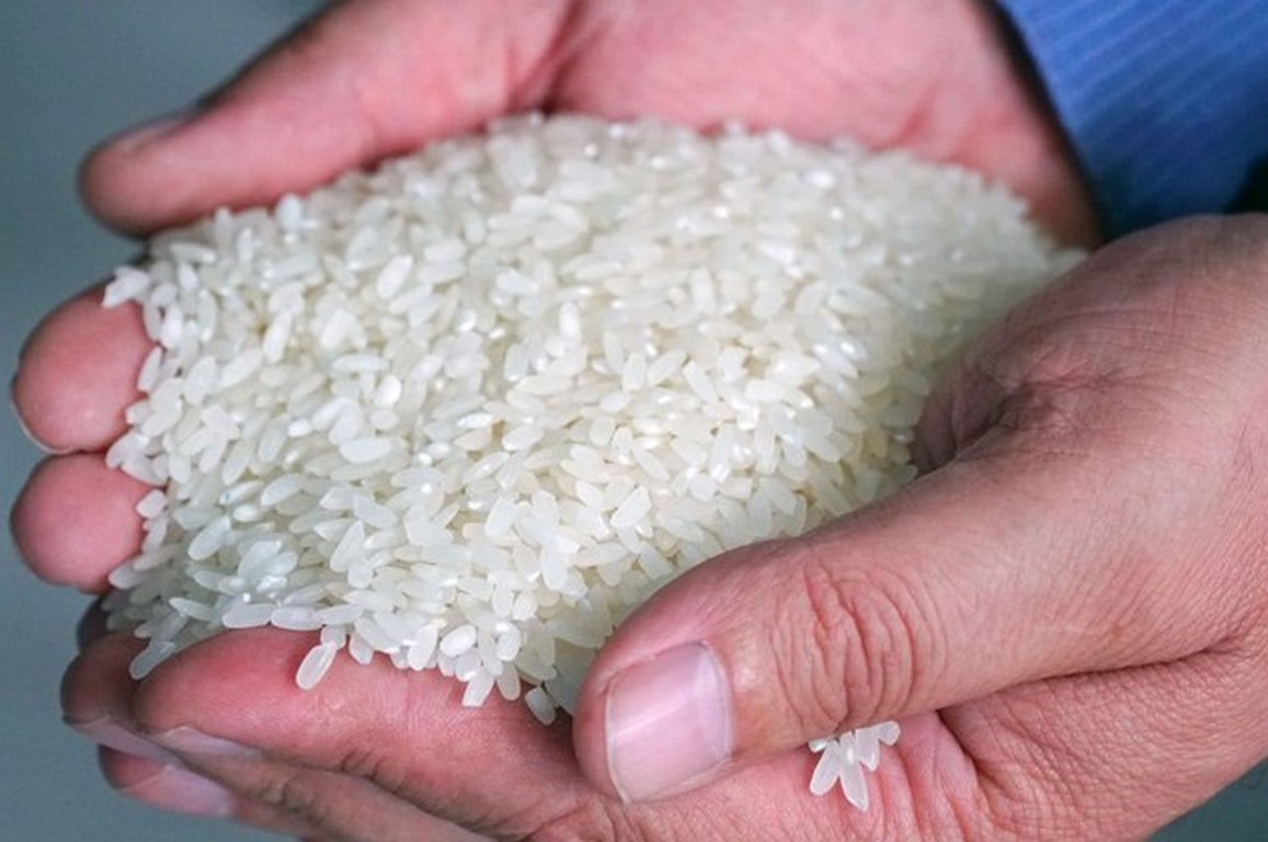 Дагестан планирует перерабатывать 90% выращиваемого риса