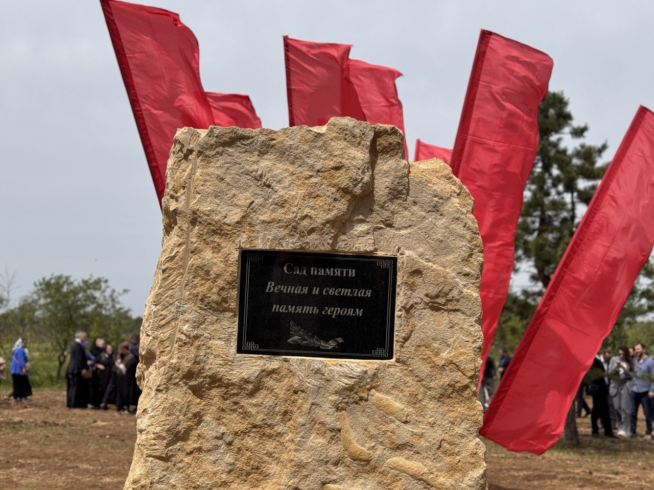 Более 70 деревьев посажено в «Саду памяти» ДГУ