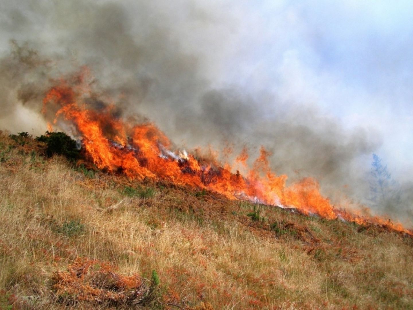 Пожароопасность 5 класса сохраняется в низменных районах Дагестана