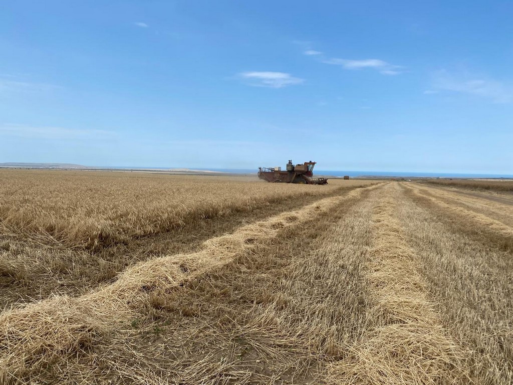 Хлеборобы Каякентского района завершают уборку зерновых