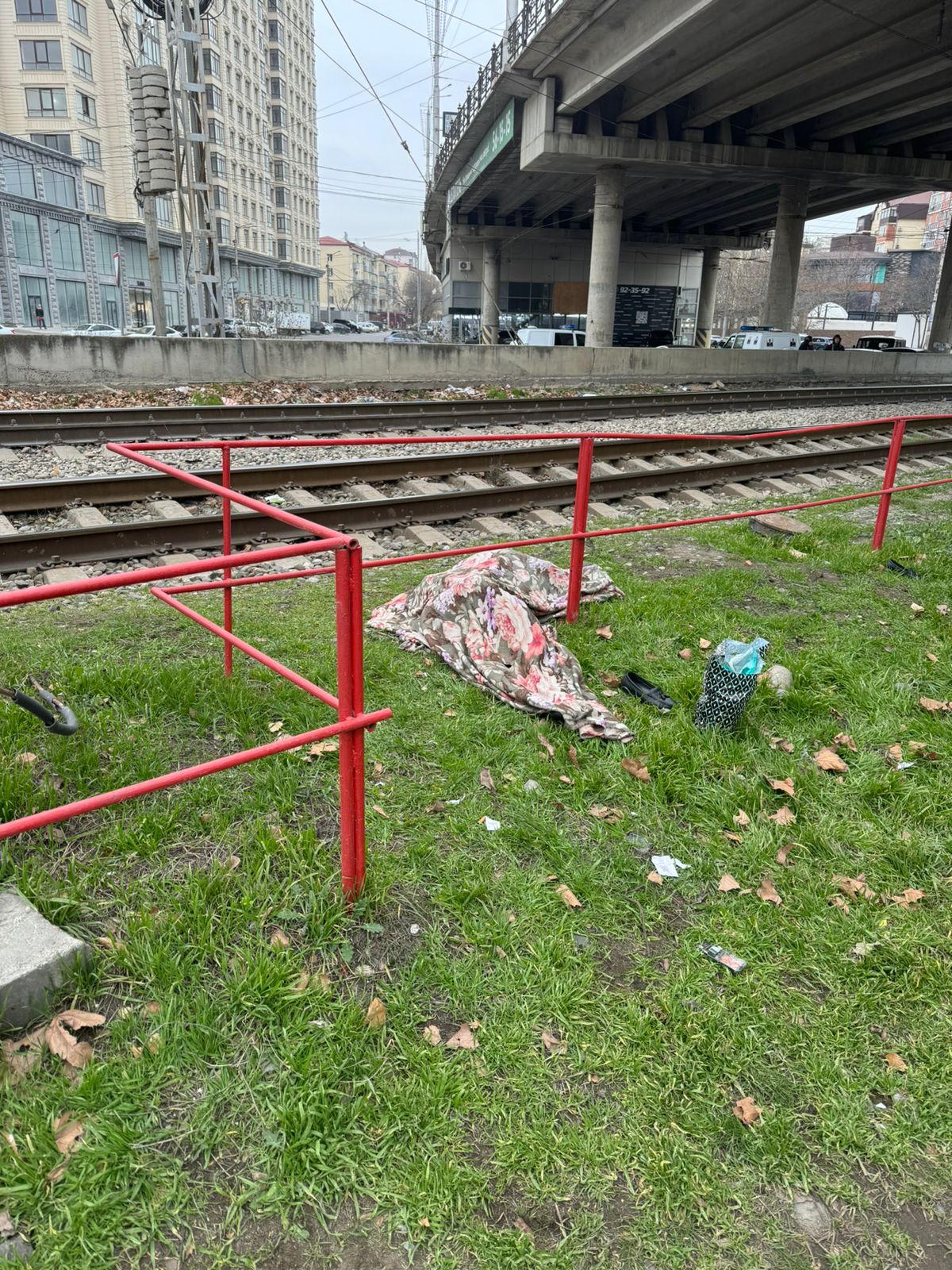 Грузовой поезд насмерть сбил пенсионерку в Дагестане