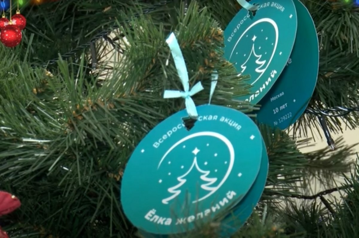 «Движение первых» Дагестана запускает прием заявок на участие в акции «Ёлка желаний»