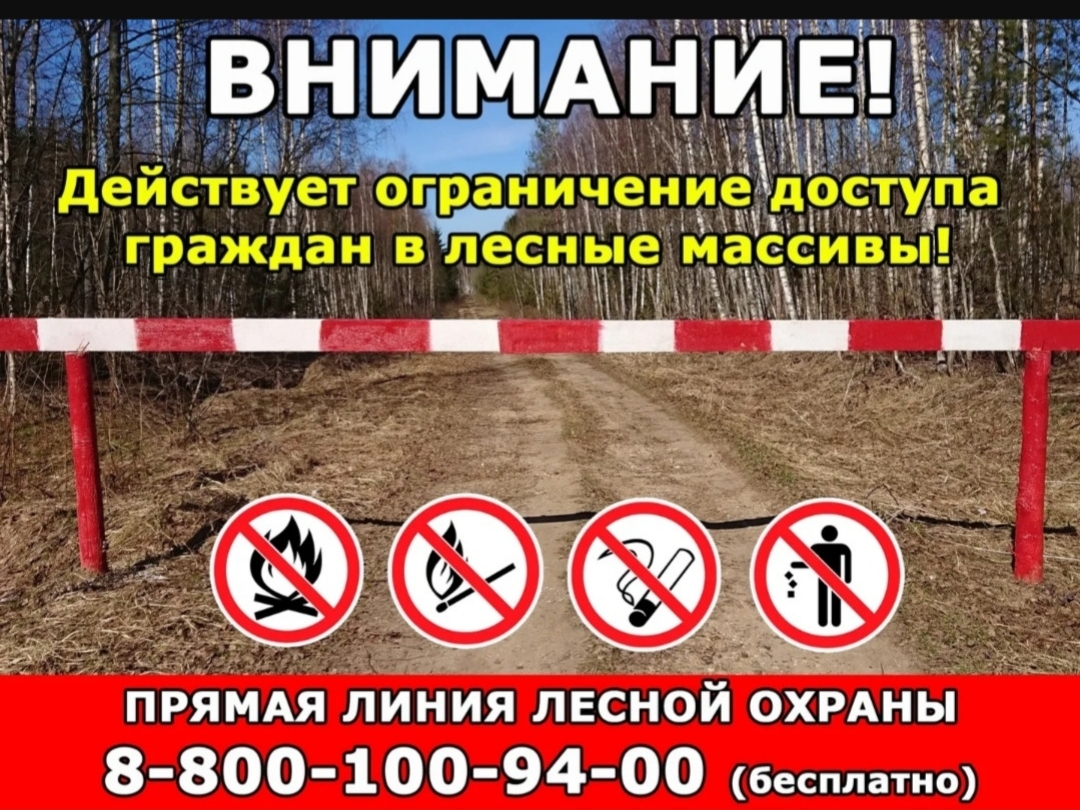 В Дагестане введены ограничения на въезд транспорта и пребывание в лесах