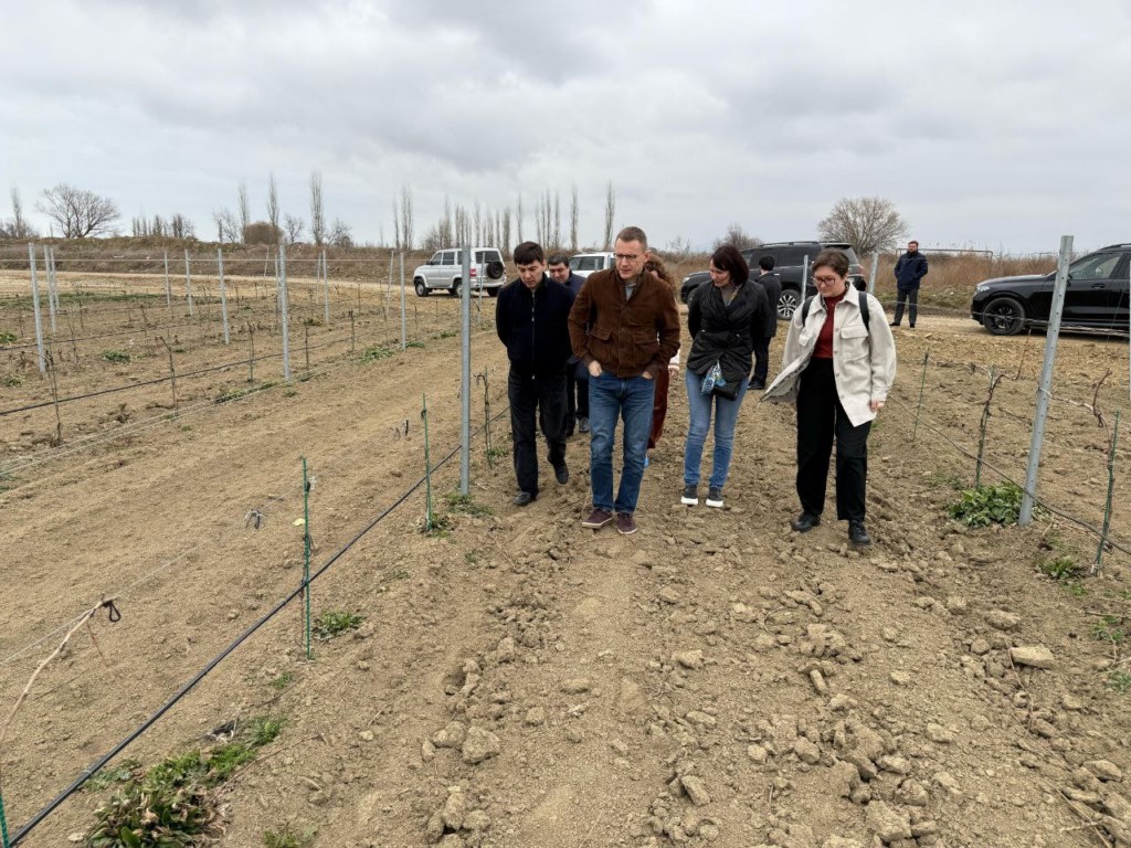 Руководство Минфина России оценило состояние крупнейших винно-коньячных заводов Дагестана