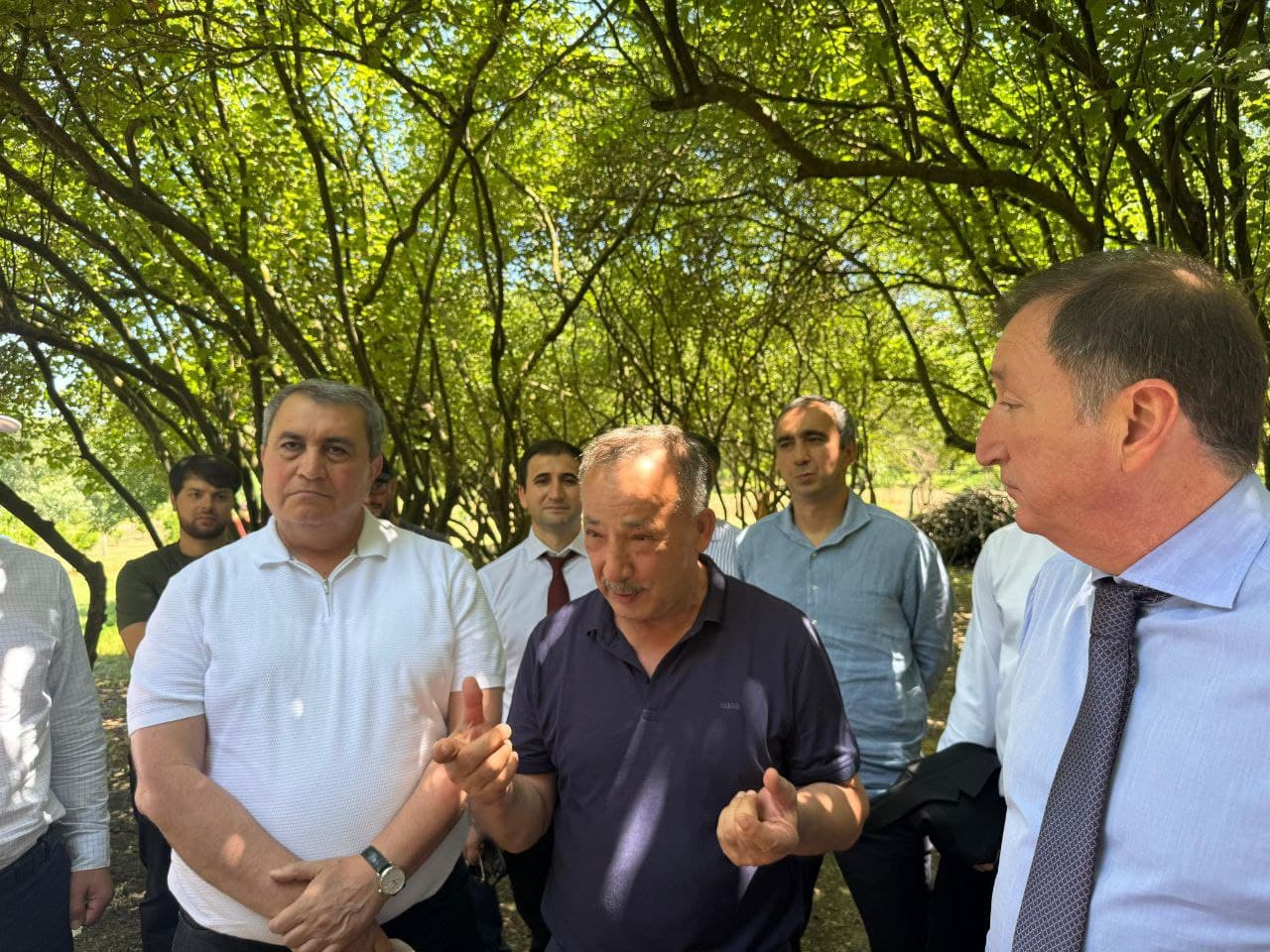 Председатель Народного Собрания РД посетил виноградники в Дербентском районе