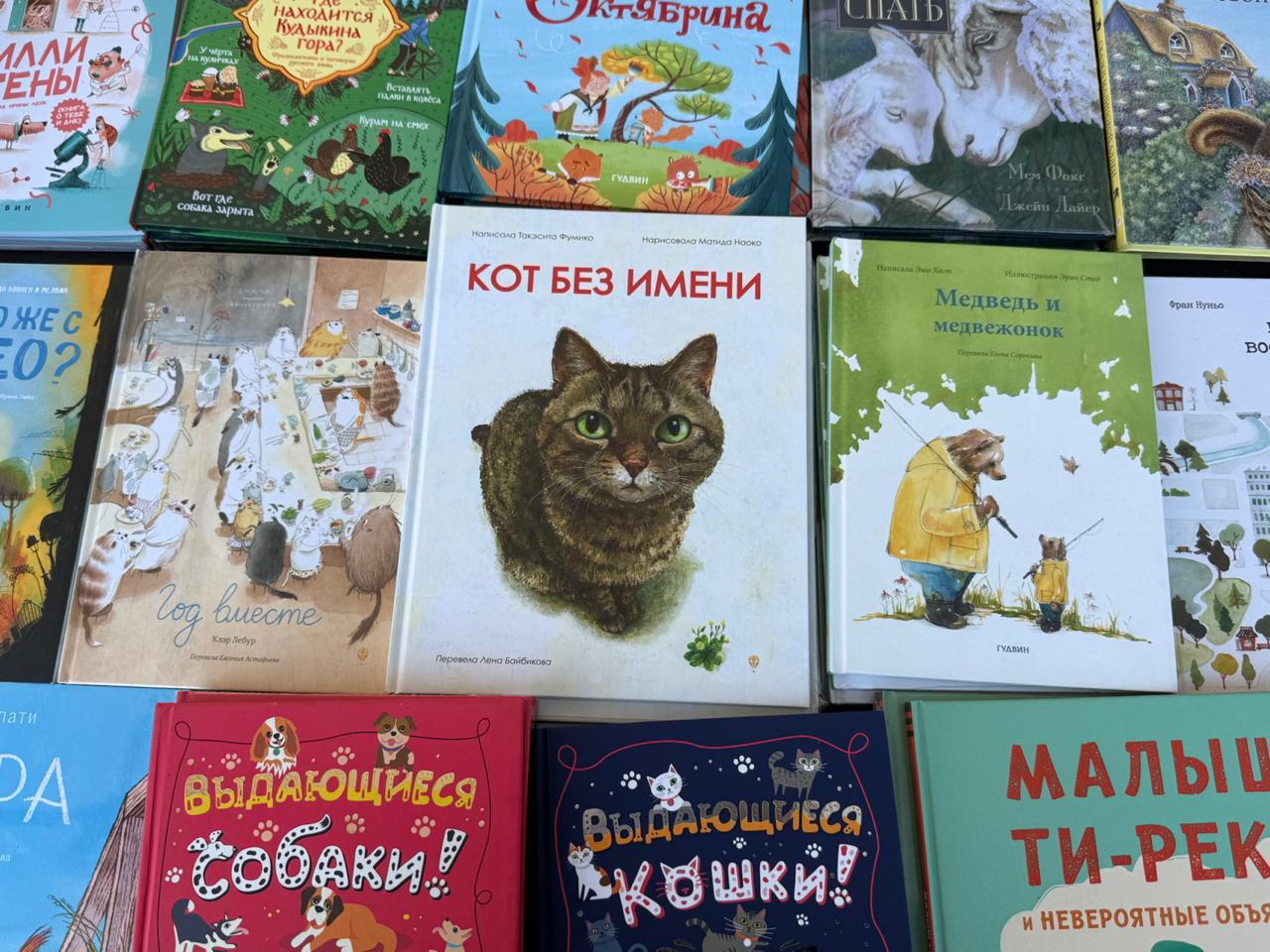 Изображение 2