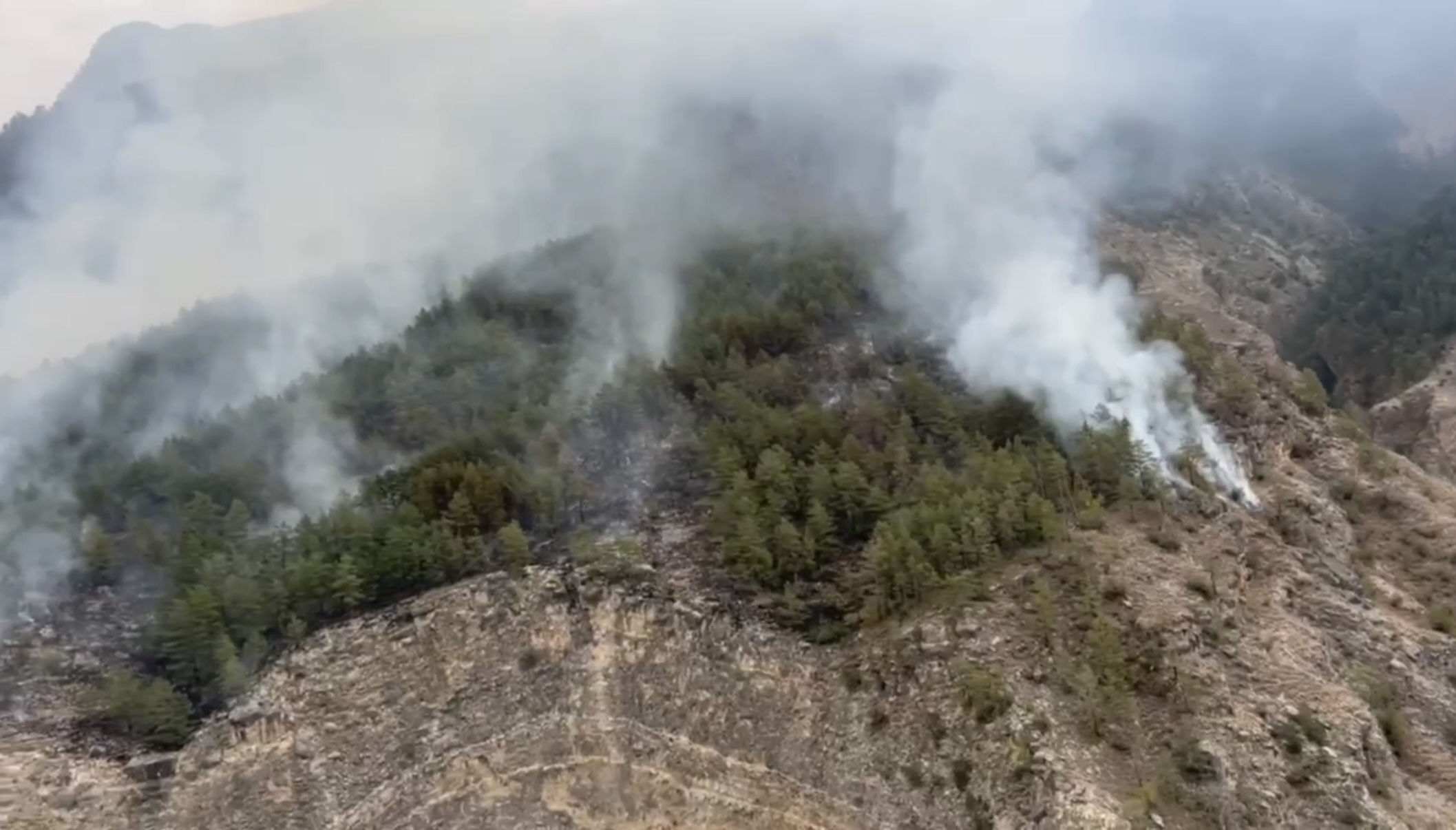 Абдулмуслим Абдулмуслимов вместе с главой МЧС посетит места пожаров