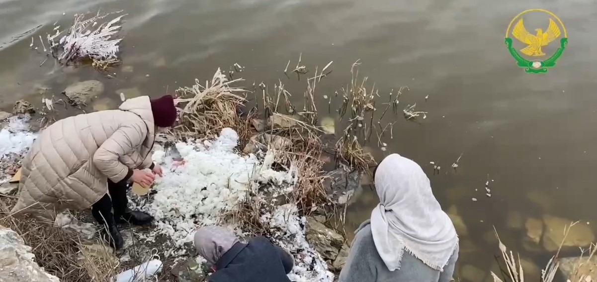 Общественная палата РД выясняет причины загрязнения озера Ак-Гёль