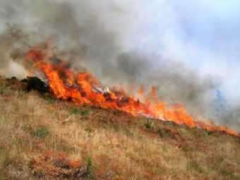 Пожароопасность ожидается в отдельных районах Дагестана