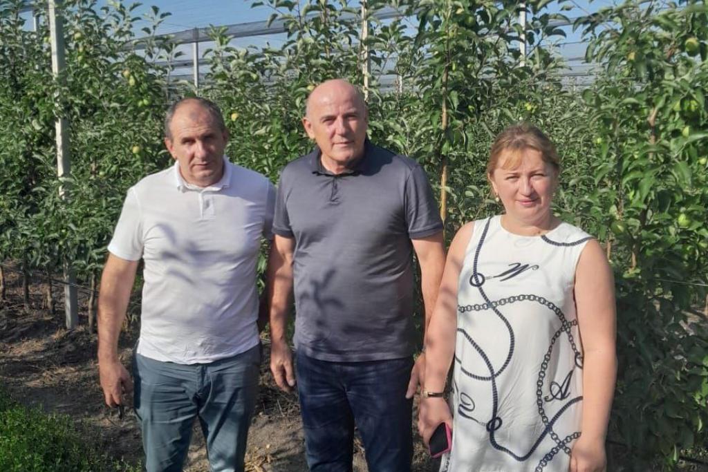 Изображение 2