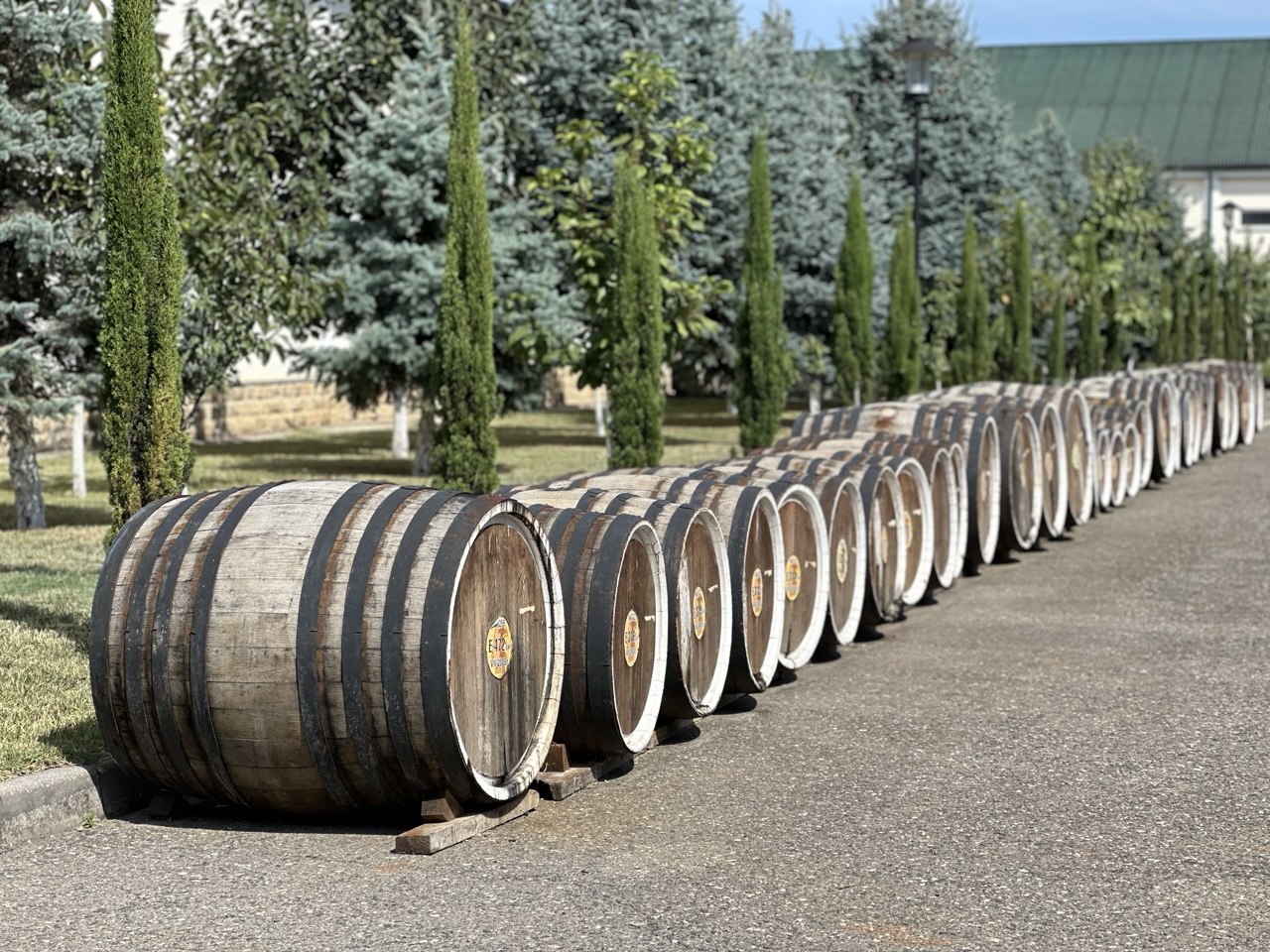 Дагестан вошел в топ-3 привлекательных направлений для агротуризма в 2025 году