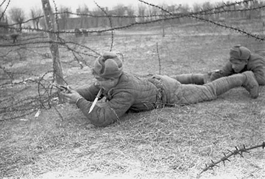 Изображение 3