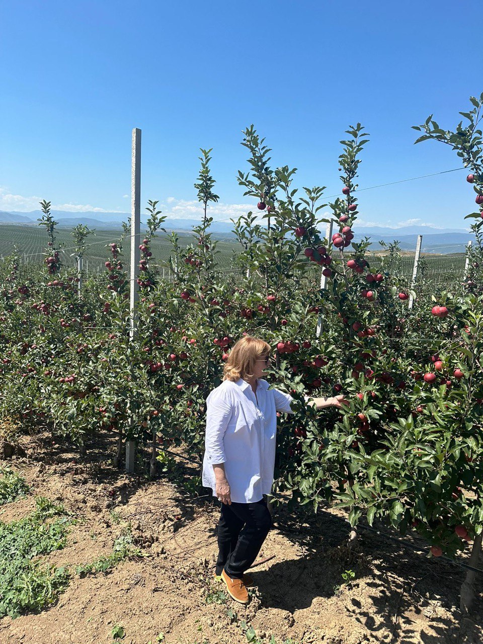 Изображение 2