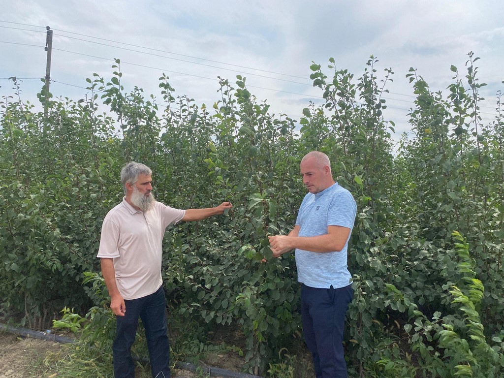 В Дагестане приступили к осенним обследованиям состояния саженцев плодовых культур