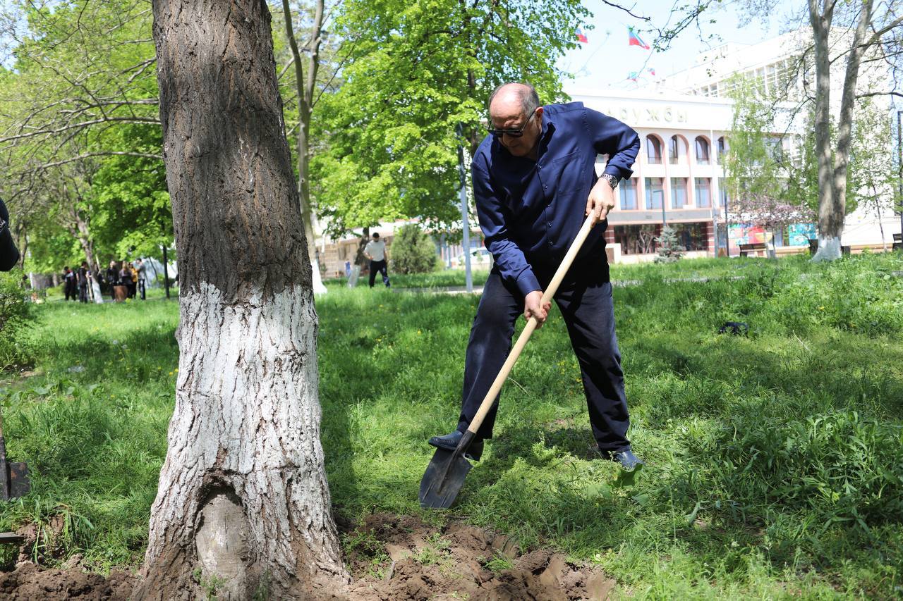 Изображение 8