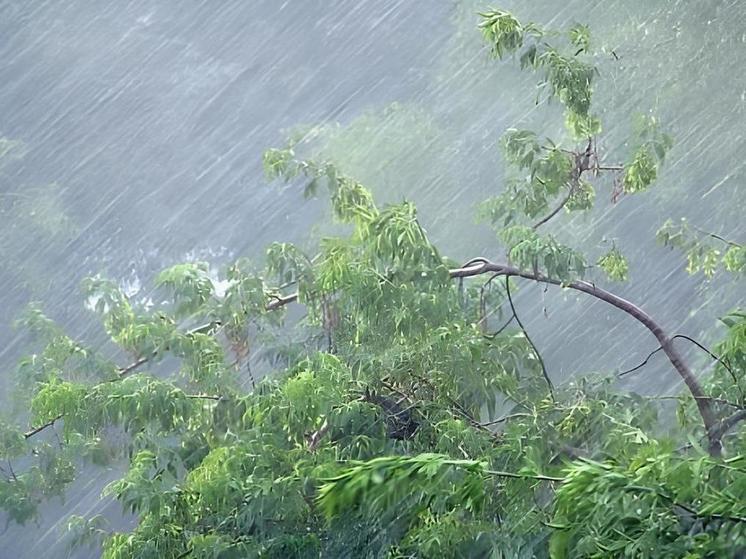 Сильные дожди с грозами ожидаются в районах Дагестана