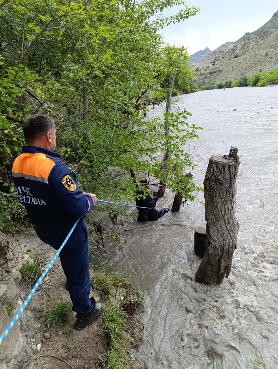 Изображение 2