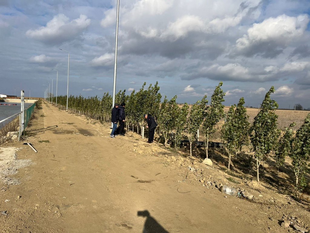 Садоводы Дагестана закладывают полезащитные лесные полосы для защиты садов