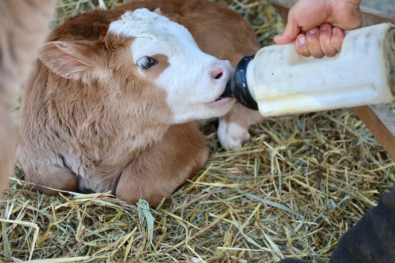 Изображение 3