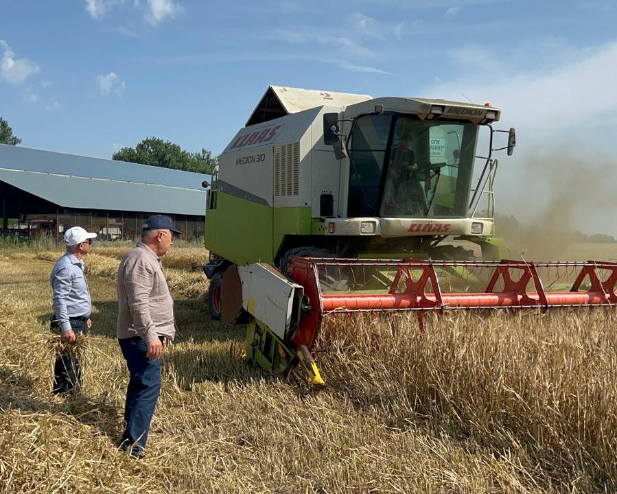 В Хасавюртовском районе проходит кампания по уборке озимых