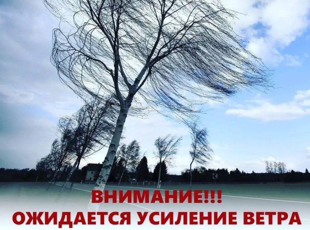 МЧС предупредило об усилении ветра в Дагестане до 20 м/с