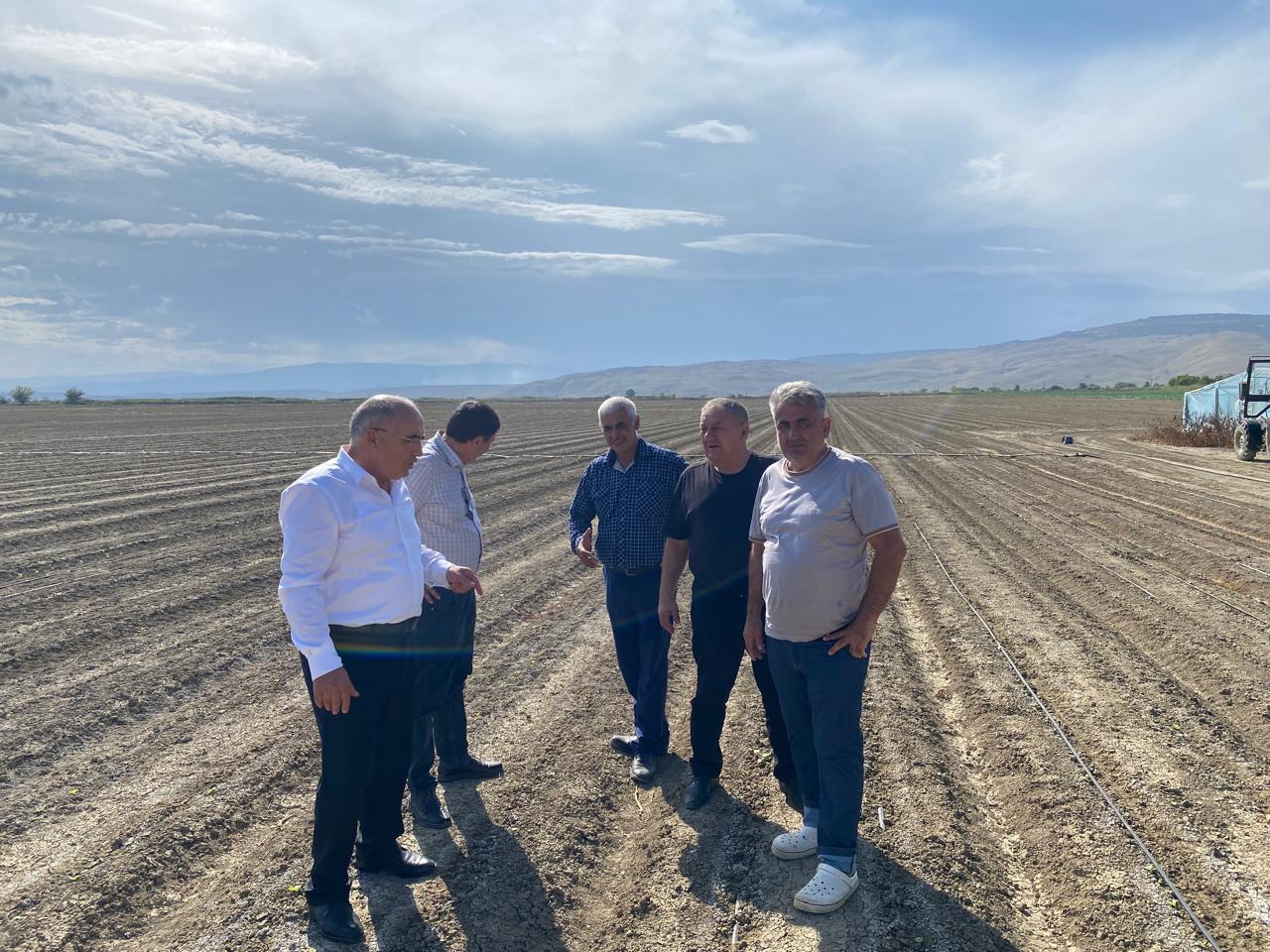 Дагестан приступил к севу подзимних овощных культур