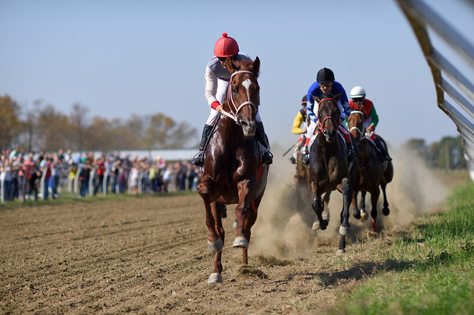 В Дагестане разыграют 650 тыс. рублей на скачках в честь Дня Победы