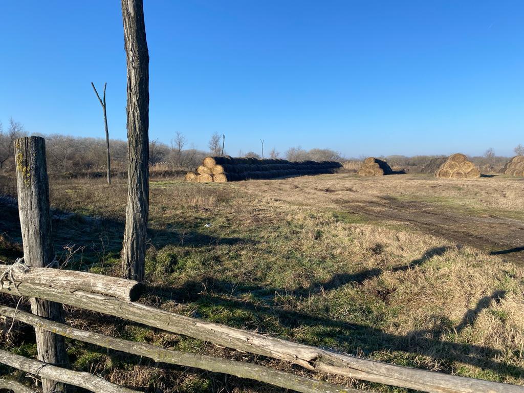 Закон о пастбищах не коснется присельских угодий Дагестана – Минсельхоз РД