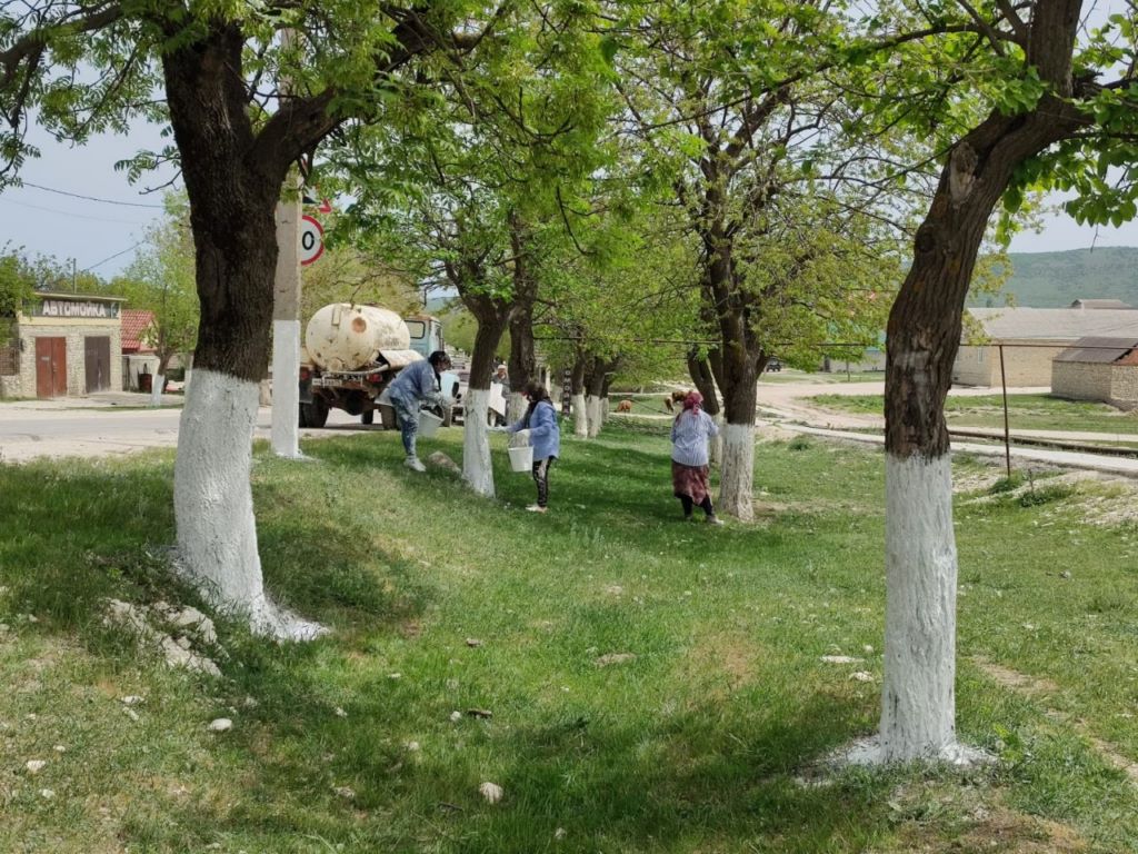 Всероссийский субботник провели в Карабудахкентском районе