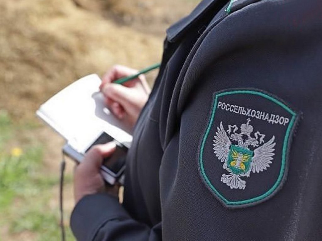 Администрациям шести сёл в Дагестане предписали остановить распространение опасного сорняка