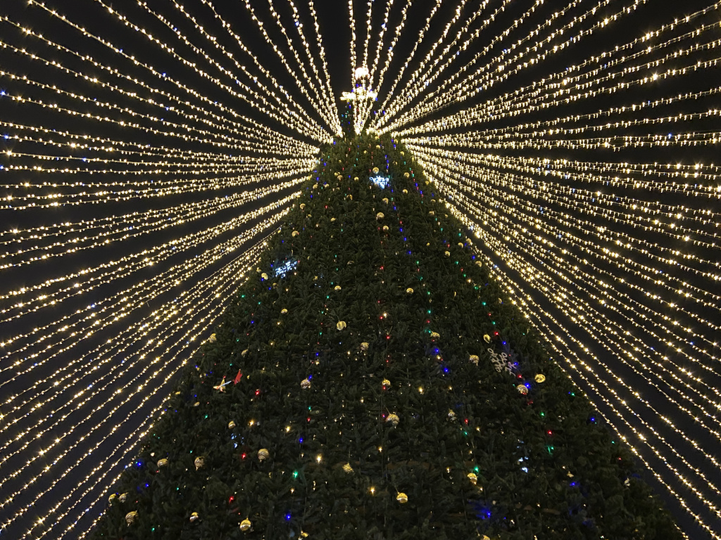 image-25-12-24-21-16 (1).jpeg