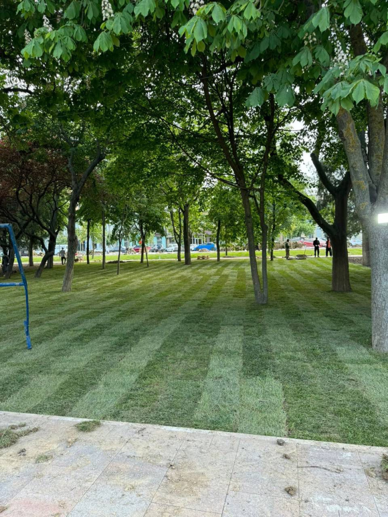 Изображение WhatsApp 2024-10-12 в 18.05.17_df9f34e5.jpg