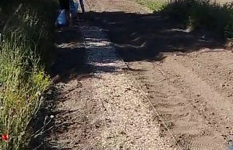 В Ногайском питомнике вырастят саженцы для восстановления лесов Дагестана