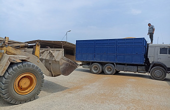 В Дагестане Россельхознадзором выявлены нарушения в декларациях на зерновую продукцию