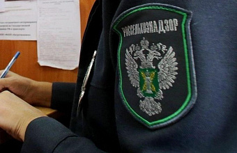 В Дагестане выявлены нарушения при ввозе древесины и гречки