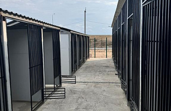 У бизнесмена из Дагестана требуют изъять животных из его «зверинца»