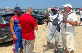 В Дагестане пресечена незаконная эксплуатация краснокнижных орлов в фотобизнесе