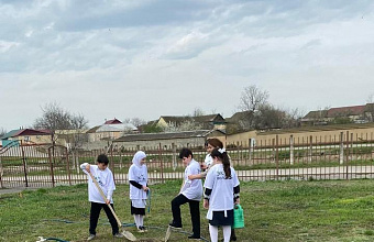 В Хасавюртовском районе высажено более двух тысяч саженцев в рамках партпроекта «Чистая страна»