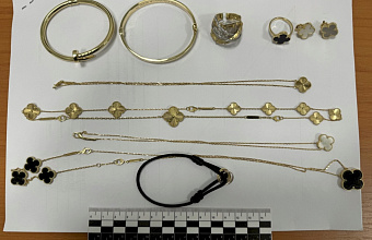 «Ювелирку» почти на 8 млн рублей попытались незаконно ввезти в Дагестан из ОАЭ