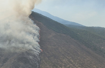 Пожар на юге Дагестана охватил площадь в 8 га