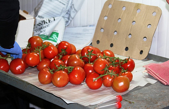 Россельхознадзор по Дагестану проверил 10 тыс. тонн импортной продукции