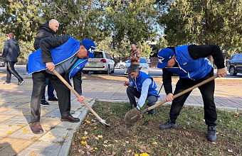Депутаты-единороссы Кизилюрта высадили ели в парке имени Малагусейнова