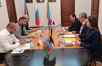 Дагестан и Азербайджан объединили усилия для развития оливководства