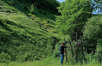 В Дагестане усилят патрулирование лесов в период особого противопожарного режима