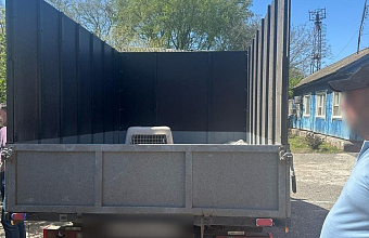 Грузовик с партией контрафактного алкоголя задержали в Кизляре