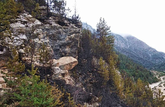 В горах Дагестана предотвратили пожар в природном парке с краснокнижными животными