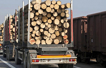 Нарушения при ввозе лесоматериалов выявлены в Дагестане