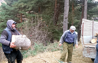 В Тляратинском районе сотрудники Комплексного центра помогают семьям военнослужащих в заготовке дров